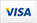pay-visa-icon